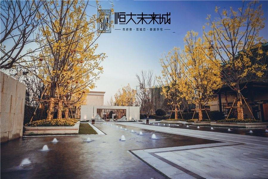 恒大未来城 (10).webp